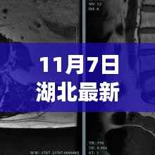 湖北新增病例解析与应对指南,从初学者到进阶用户的处理步骤解析(11月7日最新报告)