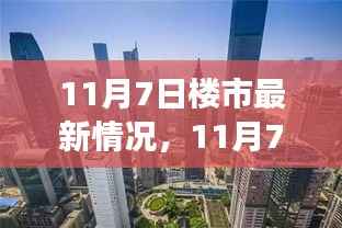 11月7日楼市最新动态,深度评测、特性体验、竞争分析与目标用户群体剖析