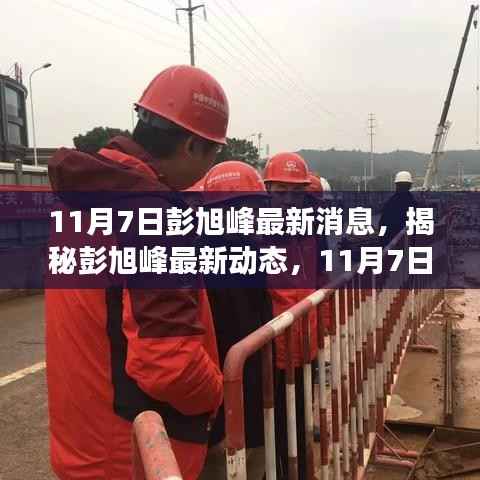 彭旭峰最新动态揭秘，11月7日重磅消息曝光