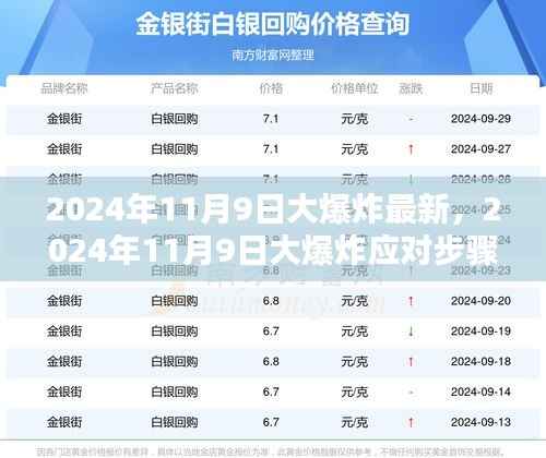 2024年11月9日大爆炸应对指南,全方位准备与应对步骤