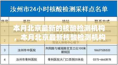 北京最新核酸检测机构探析，多方观点与个人立场阐述
