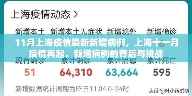上海十一月疫情再起,新增病例背后的挑战与应对