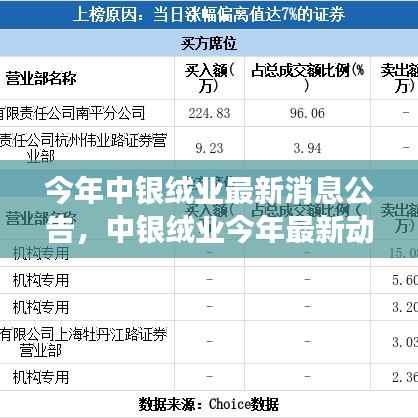 中银绒业最新动态公告,今年脉络、影响与地位的深度回顾