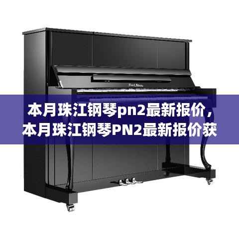 本月珠江钢琴PN2最新报价大全,初学者指南
