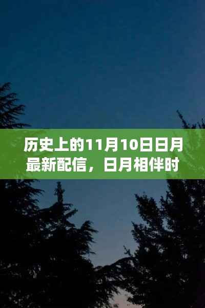 日月相伴时,温馨有趣的11月10日故事配信