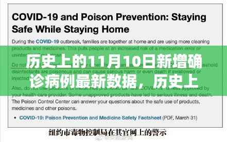 历史上的关键日期疫情数据深度解析,11月10日新增病例与1月1日疫情观点阐述