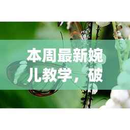 最新婉儿教学,破茧成蝶——塑造自信与成就之源的秘诀