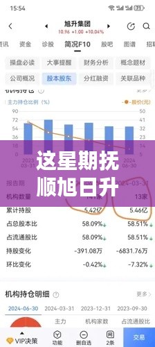 本周独家揭秘,抚顺旭日升最新动态与消息速递!