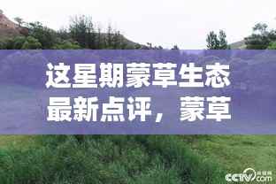 蒙草生态最新点评揭秘,探秘蒙草秘境,小巷深处的生态新宠本周独家报道!