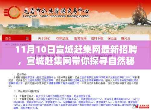 宣城赶集网带你探寻自然秘境,最新招聘启程,寻找内心的宁静与力量