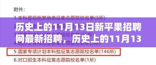 历史上的11月13日,新平果招聘网最新招聘盛况揭秘
