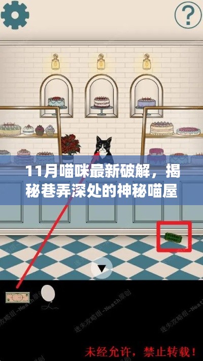 揭秘巷弄深处的神秘喵屋,11月猫咪最新破解与独特小店的奇妙邂逅