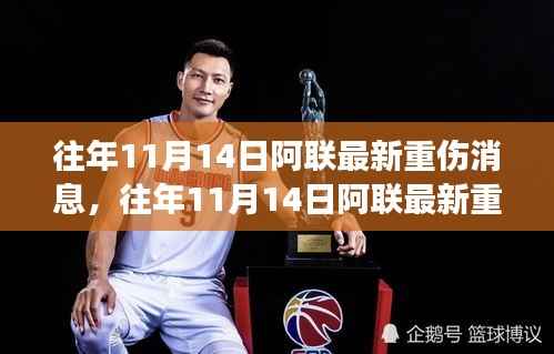 往年11月14日阿联重伤最新消息,全面解读、特性体验、竞品对比与用户洞察