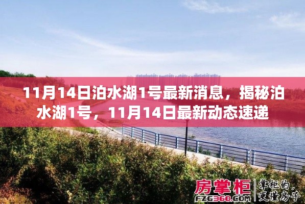 揭秘泊水湖1号,最新动态速递(11月14日更新)