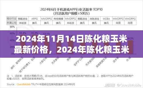 2024年陈化粮玉米最新价格详解，查询与理解指南