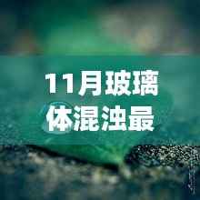 探索自然美景之旅,揭秘最新治疗玻璃体混浊特效药,寻找心灵的宁静与宁静之旅