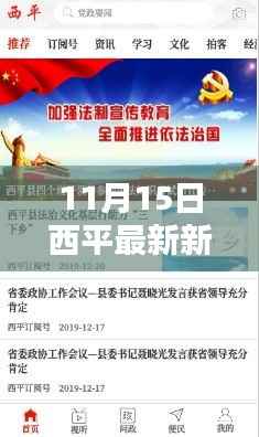 11月15日西平热点新闻深度解析，最新资讯产品评测报告