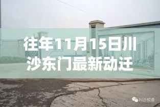 川沙东门动迁新篇章,变化中的学习,自信与成就感的源泉历年11月15日最新动态解析