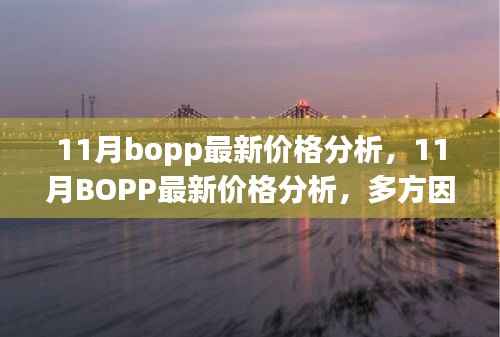 11月BOPP价格分析，多方因素考量与观点碰撞