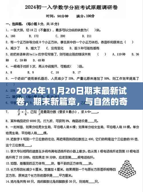 2024年11月20日启程,期末新篇章,探索自然未知美景的奇妙邂逅