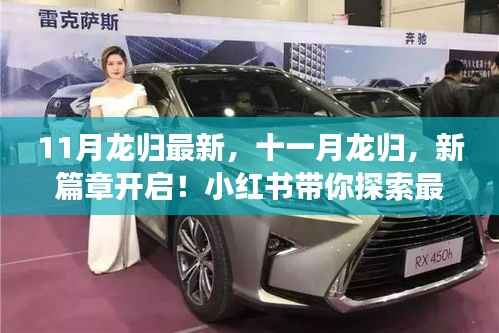 十一月龙归新篇章开启,探索最新动态,揭秘魅力所在——小红书指南