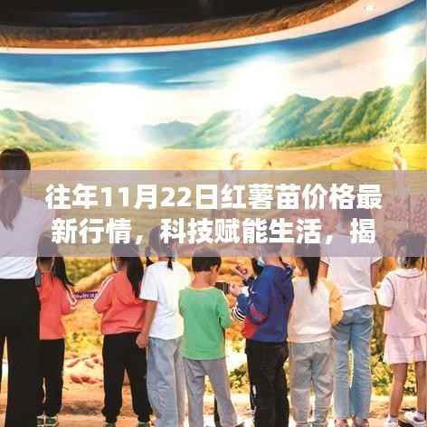 科技赋能生活,揭秘红薯苗最新行情的高科技魅力与体验(往年11月22日行情)