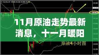 十一月暖阳下的原油之旅,走势最新消息与友情陪伴的温馨故事