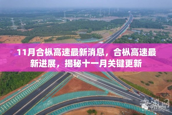 橘虞初梦 第13页