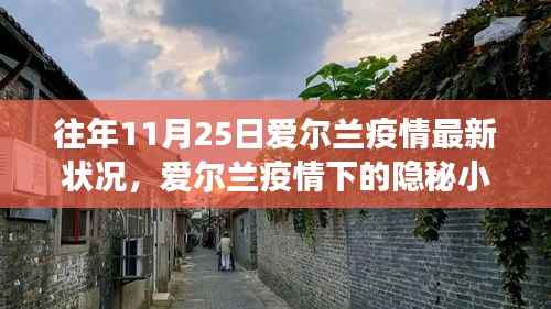 爱尔兰隐秘小巷特色小店故事,疫情下的独特生存状态与往年疫情最新状况回顾