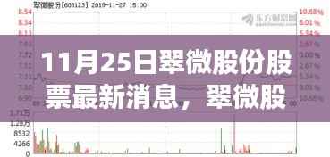 翠微股份最新动态解析与展望,深度解析股票消息及领域地位展望(11月25日)