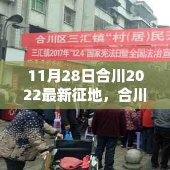 合川最新征地动向深度解析与观点阐述,2022年11月28日合川征地最新消息