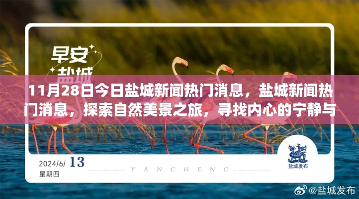 11月28日今日盐城新闻热门消息,盐城新闻热门消息,探索自然美景之旅,寻找内心的宁静与平和