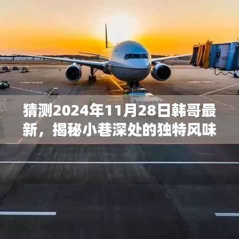 揭秘韩哥特色小店，小巷深处的独特风味，韩哥最新惊喜探索之旅（2024年11月28日）