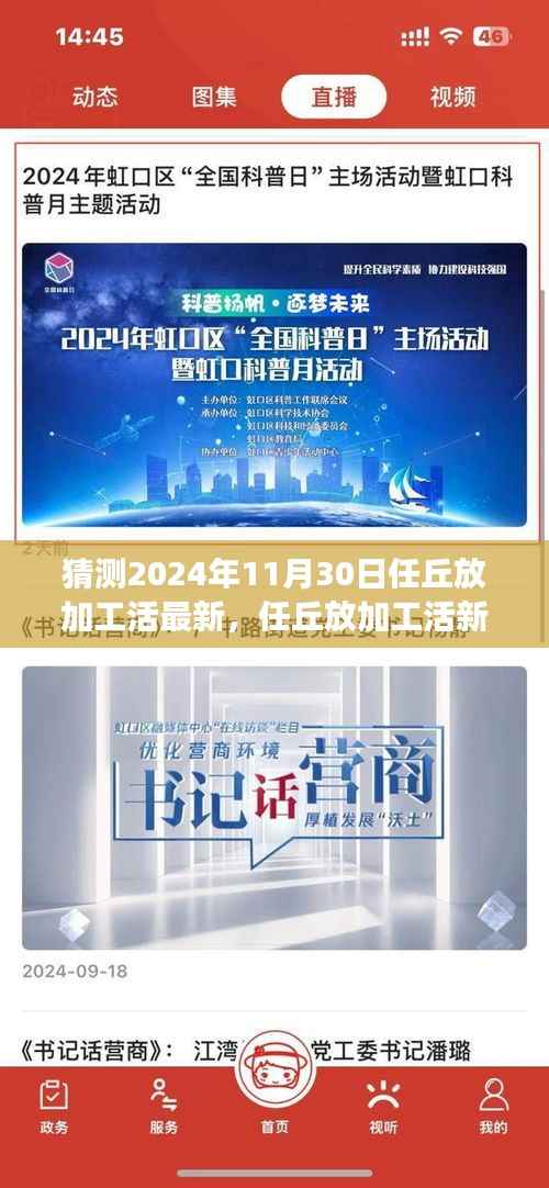 2024年11月30日任丘加工行业动态,最新趋势与未来展望