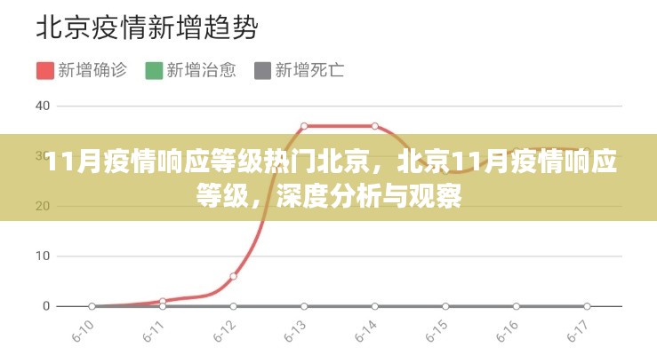 11月疫情响应等级热门北京,北京11月疫情响应等级,深度分析与观察
