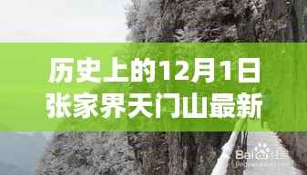 揭秘,张家界天门山历史上的12月1日最新招聘及其背后故事