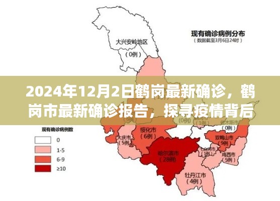 探寻鹤岗疫情背后的故事,最新确诊报告(鹤岗市疫情动态更新)