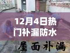 12月4日全新智能补漏防水科技,滴水不漏重塑生活品质!