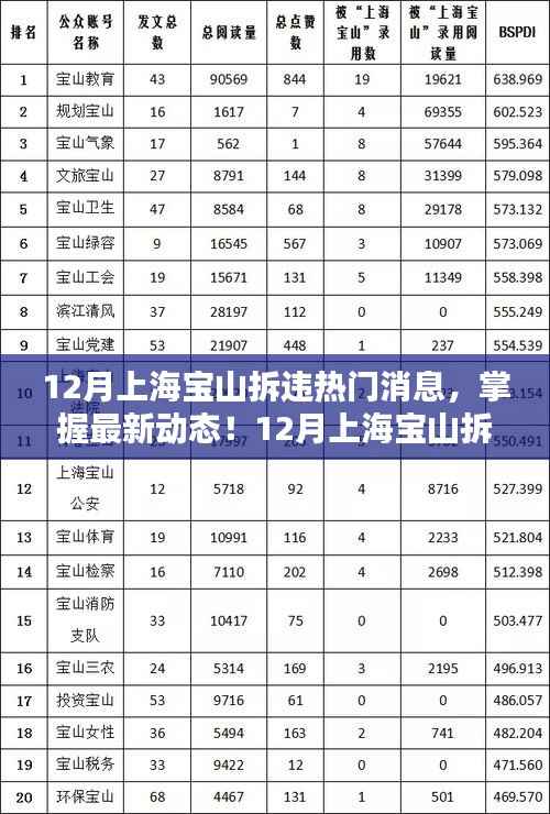 最新消息,上海宝山拆违动态揭秘与攻略,教你如何应对与参与