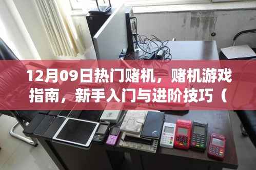 12月09日热门赌机游戏指南,从新手到进阶的技巧详解(附带违法警示)