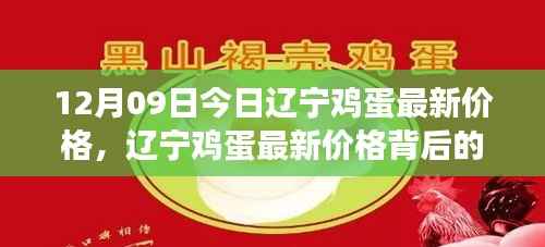 辽宁鸡蛋最新价格背后的励志故事,自信成就梦想之路,学习变化的力量在闪耀!