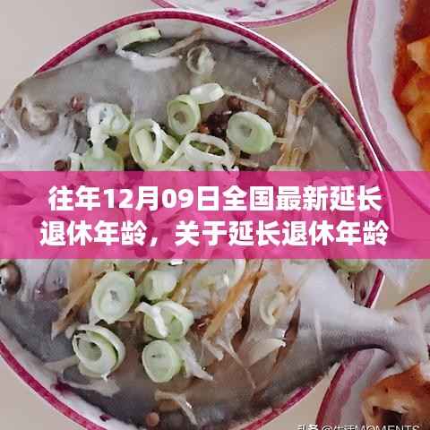 全国最新政策下的退休延迟指南,详细步骤解析及操作建议(适用于初学者与进阶用户)