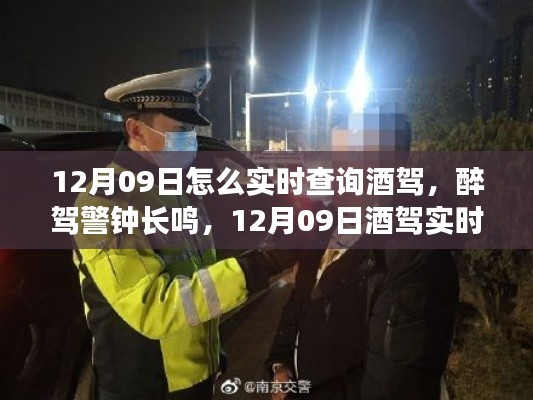 12月09日酒驾实时查询背后的故事与启示,警钟长鸣,醉驾防范需持续努力
