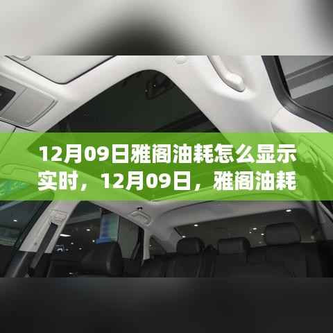 雅阁油耗实时显示指南,油耗与心灵之旅的双重体验