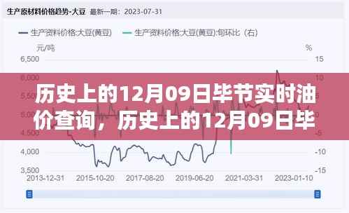 历史上的12月09日毕节实时油价查询全攻略,初学者与进阶用户适用