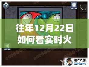 冬至火灾实时图像之旅,探索火舞自然,逃离尘嚣的实时火灾观察体验