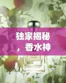 独家揭秘,香水神秘配方表,探秘香气之源