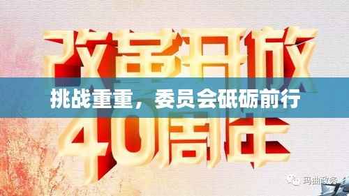 挑战重重,委员会砥砺前行