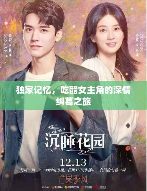 独家记忆,吃醋女主角的深情纠葛之旅