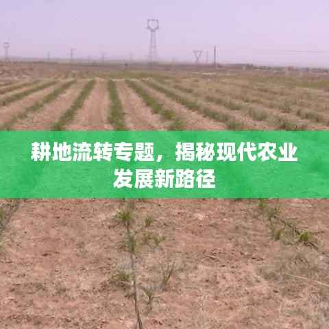 耕地流转专题,揭秘现代农业发展新路径
